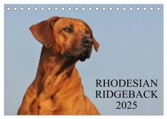 Rhodesian Ridgeback 2025 (Tischkalender 2025 DIN A5 quer), CALVENDO Monatskalender