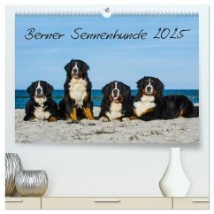 Berner Sennenhund 2025 (hochwertiger Premium Wandkalender 2025 DIN A2 quer), Kunstdruck in Hochglanz