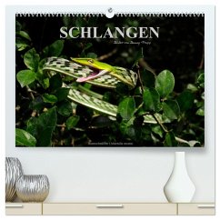 Schlangen (hochwertiger Premium Wandkalender 2025 DIN A2 quer), Kunstdruck in Hochglanz - Calvendo;Trapp, Benny