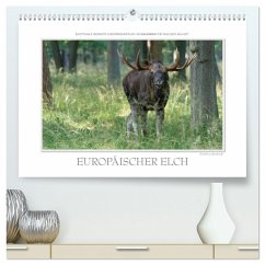 Emotionale Momente: Europäischer Elch. / CH-Version (hochwertiger Premium Wandkalender 2025 DIN A2 quer), Kunstdruck in Hochglanz - Calvendo;Gerlach GDT, Ingo