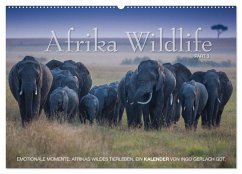 Emotionale Momente: Afrika Wildlife. Part 3. / CH-Version (Wandkalender 2025 DIN A2 quer), CALVENDO Monatskalender