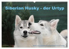 Siberian Husky - der Urtyp (Wandkalender 2025 DIN A2 quer), CALVENDO Monatskalender - Calvendo;Ebardt, Michael