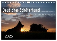 Deutscher Schäferhund / CH-Version (Wandkalender 2025 DIN A4 quer), CALVENDO Monatskalender