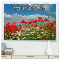 Wildblumen 2025 (hochwertiger Premium Wandkalender 2025 DIN A2 quer), Kunstdruck in Hochglanz - Calvendo;Geduldig, Bildagentur