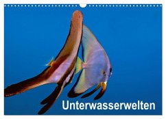 Unterwasserwelten (Wandkalender 2025 DIN A3 quer), CALVENDO Monatskalender