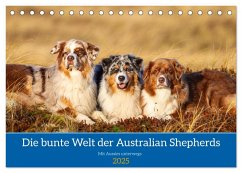 Mit Aussies unterwegs - Die bunte Welt der Australian Shepherds (Tischkalender 2025 DIN A5 quer), CALVENDO Monatskalender