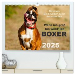 Wenn ich groß bin werd' ich Boxer (hochwertiger Premium Wandkalender 2025 DIN A2 quer), Kunstdruck in Hochglanz - Calvendo;Mielke, Kerstin