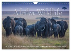 Emotionale Momente: Afrika Wildlife. Part 3. / CH-Version (Wandkalender 2025 DIN A4 quer), CALVENDO Monatskalender - Calvendo;Gerlach GDT, Ingo