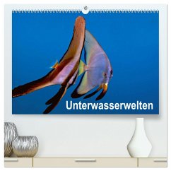 Unterwasserwelten (hochwertiger Premium Wandkalender 2025 DIN A2 quer), Kunstdruck in Hochglanz