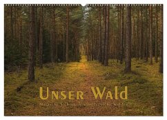 Unser Wald - Magische Sichten in norddeutsche Wälder (Wandkalender 2025 DIN A2 quer), CALVENDO Monatskalender - Calvendo;Langenkamp, Heike