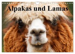 Alpakas und Lamas (Wandkalender 2025 DIN A4 quer), CALVENDO Monatskalender