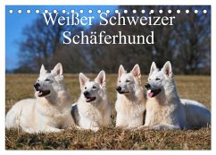 Weißer Schweizer Schäferhund (Tischkalender 2025 DIN A5 quer), CALVENDO Monatskalender - Calvendo;Starick, Sigrid