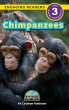 Chimpanzees - Bild 1