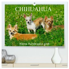 Chihuahua - Kleine Hunde ganz groß (hochwertiger Premium Wandkalender 2025 DIN A2 quer), Kunstdruck in Hochglanz