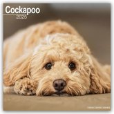 Cockapoo - Cockapoos 2025 - 16-Monatskalender
