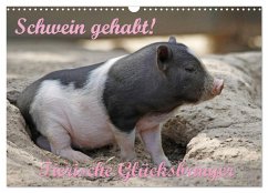 Schwein gehabt! (Wandkalender 2025 DIN A3 quer), CALVENDO Monatskalender