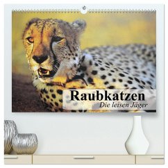 Raubkatzen. Die leisen Jäger (hochwertiger Premium Wandkalender 2025 DIN A2 quer), Kunstdruck in Hochglanz