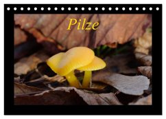Pilze (Tischkalender 2025 DIN A5 quer), CALVENDO Monatskalender - Calvendo;Everaars, Jeroen