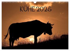 Kühe 2025 (Wandkalender 2025 DIN A3 quer), CALVENDO Monatskalender