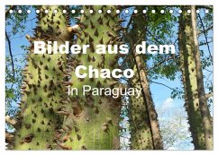 Bilder aus dem Chaco in Paraguay (Tischkalender 2025 DIN A5 quer), CALVENDO Monatskalender