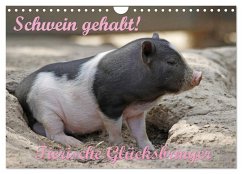 Schwein gehabt! (Wandkalender 2025 DIN A4 quer), CALVENDO Monatskalender