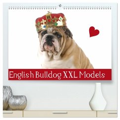 English Bulldog XXL Models (hochwertiger Premium Wandkalender 2025 DIN A2 quer), Kunstdruck in Hochglanz