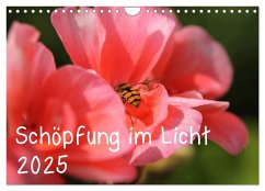 Schöpfung im Licht (Wandkalender 2025 DIN A4 quer), CALVENDO Monatskalender