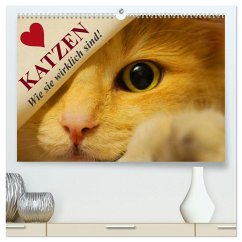 Katzen ¿ Wie sie wirklich sind! (hochwertiger Premium Wandkalender 2025 DIN A2 quer), Kunstdruck in Hochglanz - Calvendo;Stanzer, Elisabeth