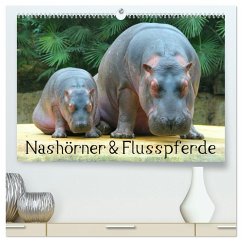 Nashörner & Flusspferde (hochwertiger Premium Wandkalender 2025 DIN A2 quer), Kunstdruck in Hochglanz - Calvendo;Stanzer, Elisabeth