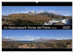 Im Nationalpark Torres del Paine (Chile) (Wandkalender 2025 DIN A2 quer), CALVENDO Monatskalender - Calvendo;Flori0