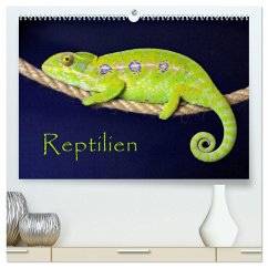 Reptilien (hochwertiger Premium Wandkalender 2025 DIN A2 quer), Kunstdruck in Hochglanz