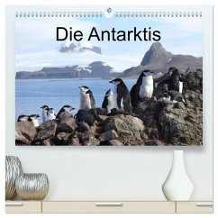 Die Antarktis / CH-Version (hochwertiger Premium Wandkalender 2025 DIN A2 quer), Kunstdruck in Hochglanz
