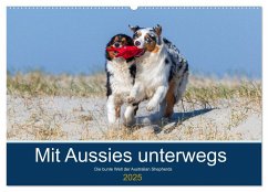 Mit Aussies unterwegs - Die bunte Welt der Australian Shepherds (Wandkalender 2025 DIN A2 quer), CALVENDO Monatskalender - Calvendo;Mirsberger, Annett