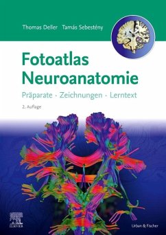 Fotoatlas Neuroanatomie - Deller, Thomas; Sebestény, Tamás; Eichler, Katrin; Tritt, Stephanie