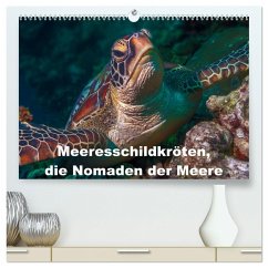 Meeresschildkröten, die Nomaden der Meere (hochwertiger Premium Wandkalender 2025 DIN A2 quer), Kunstdruck in Hochglanz
