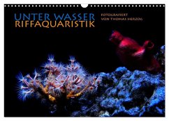 UNTER WASSER Riffaquaristik (Wandkalender 2025 DIN A3 quer), CALVENDO Monatskalender - Calvendo;Herzog, www.bild-erzaehler.com, Thomas