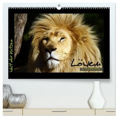 Welt der Katzen - Löwen (hochwertiger Premium Wandkalender 2025 DIN A2 quer), Kunstdruck in Hochglanz