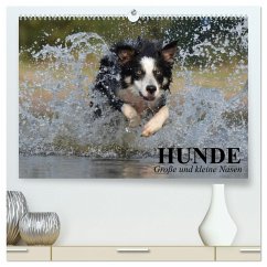 Hunde. Große und kleine Nasen (hochwertiger Premium Wandkalender 2025 DIN A2 quer), Kunstdruck in Hochglanz