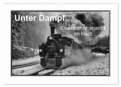 Unter Dampf - Eisenbahnromantik im Harz (Wandkalender 2025 DIN A2 quer), CALVENDO Monatskalender