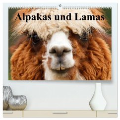 Alpakas und Lamas (hochwertiger Premium Wandkalender 2025 DIN A2 quer), Kunstdruck in Hochglanz