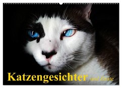 Katzengesichter und Zitate (Wandkalender 2025 DIN A2 quer), CALVENDO Monatskalender