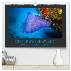 Unterwasserwelt - Das Leben am Korallenriff (hochwertiger Premium Wandkalender 2025 DIN A2 quer), Kunstdruck in Hochglanz - Calvendo;Meutzner, Dirk