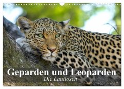 Die Lautlosen. Geparden und Leoparden (Wandkalender 2025 DIN A3 quer), CALVENDO Monatskalender