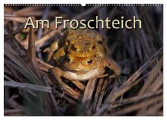 Am Froschteich (Wandkalender 2025 DIN A2 quer), CALVENDO Monatskalender