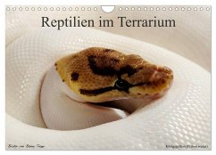 REPTILIEN IM TERRARIUM (Wandkalender 2025 DIN A4 quer), CALVENDO Monatskalender