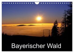 Bayerischer Wald (Wandkalender 2025 DIN A4 quer), CALVENDO Monatskalender - Calvendo;Matheisl, Willy