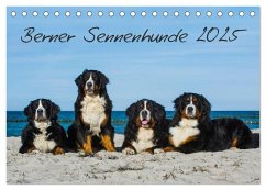 Berner Sennenhund 2025 (Tischkalender 2025 DIN A5 quer), CALVENDO Monatskalender