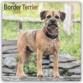 Border Terrier 2025 - 16-Monatskalender