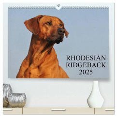 Rhodesian Ridgeback 2025 (hochwertiger Premium Wandkalender 2025 DIN A2 quer), Kunstdruck in Hochglanz