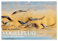 Magie des Augenblicks - Vogelflug - Eleganz auf Schwingen (Wandkalender 2025 DIN A2 quer), CALVENDO Monatskalender - Calvendo;Wisniewski, Winfried